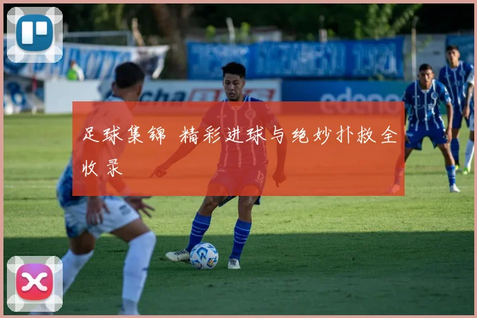 足球集锦 精彩进球与绝妙扑救全收录